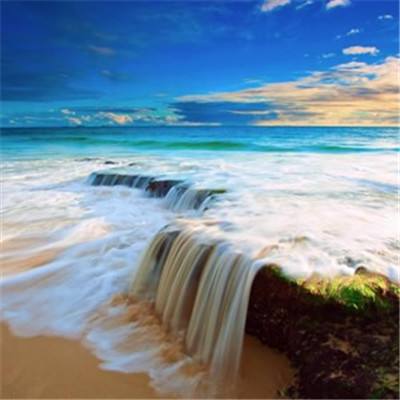 威斯尼斯人wns8888